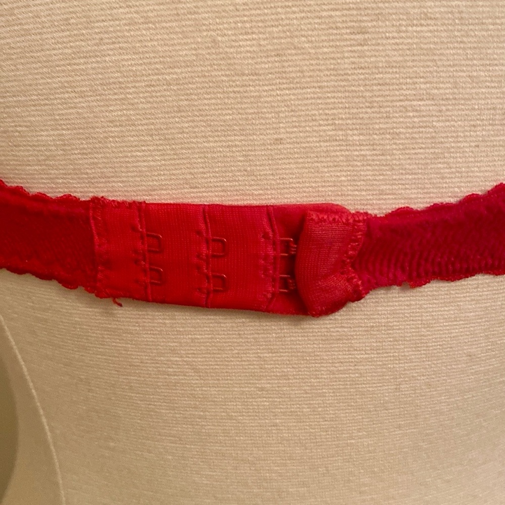 Victoria’s Secret Country Vintage 1990s Red Black Rose Trim Velour Bra Size 34C - Picture 8 of 12